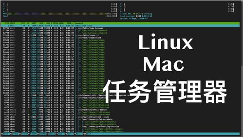 linux软件(linux软件用什么语言开发) 20240423更新