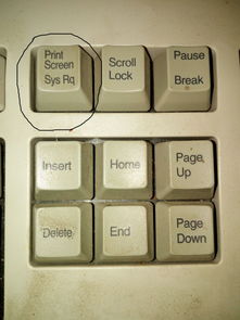 键盘截屏是哪个快捷键(电脑截图是按哪几个键)
