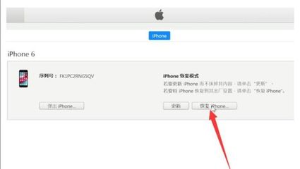 苹果iphone官网序列号查询(苹果iphone官网序列号查询官网)