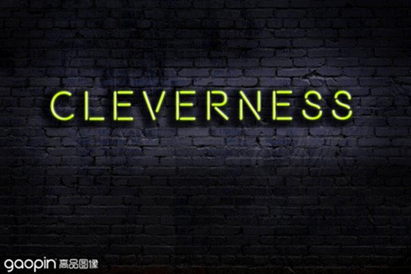 cleverness是什么意思(cleverness的意思)