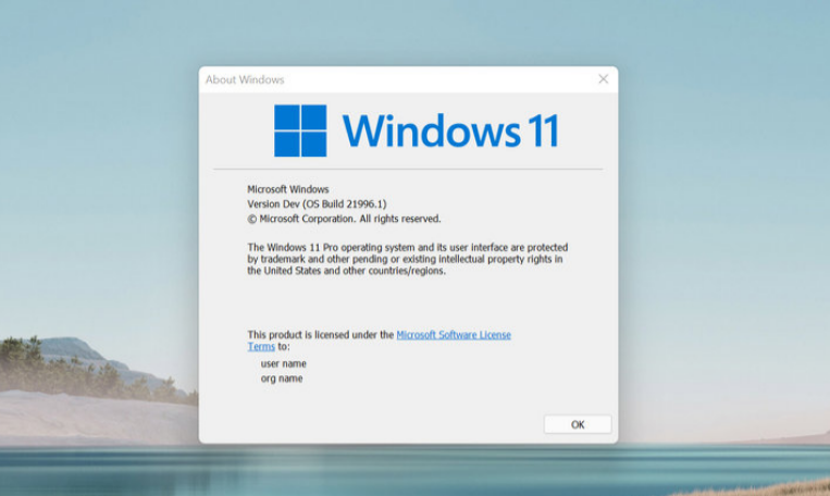 微软windows11镜像(windows11beta镜像)