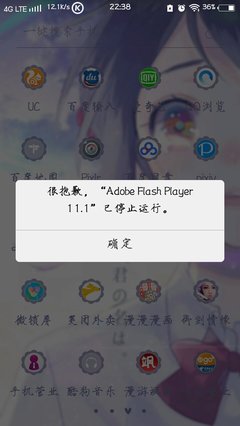 adobeflash手机版(adobe flasher player手机版下载)