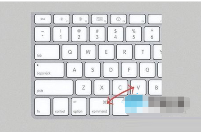 用键盘怎么复制粘贴(用键盘复制粘贴一段话)