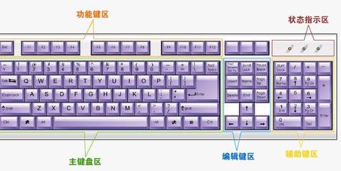 电脑键盘上每个键的作用图解(电脑键盘上每个键的作用图解图片)