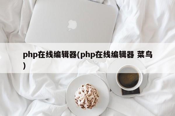 php在线编辑器(php在线编辑器 菜鸟)