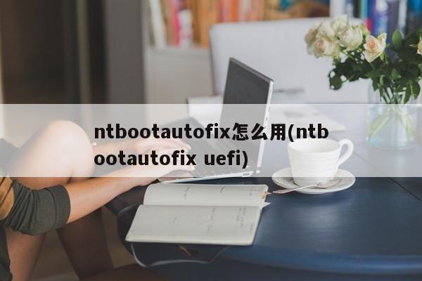 ntbootautofix怎么用(ntbootautofix uefi)