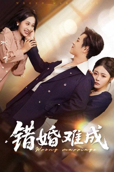错婚难成（45集）彭程&武鸿蕊 高清完整版
