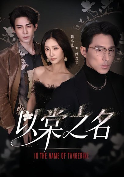 以棠之名（66集）魏小也&冯文栋 高清完整版